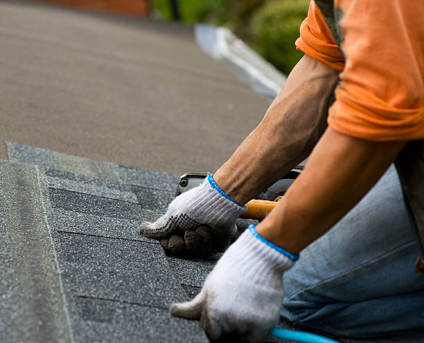 Best Roof Gutter Cleaning  in Humboldt, TN